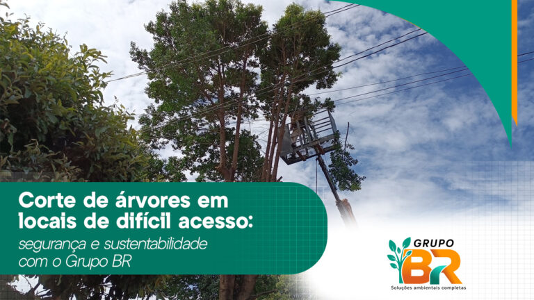 Corte de árvores em locais de difícil acesso: segurança e sustentabilidade com o Grupo BR