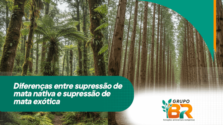 Diferenças entre supressão de mata nativa e supressão de mata exótica