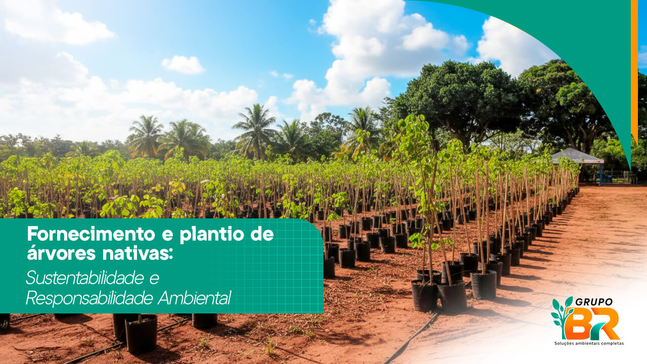 Fornecimento e plantio de árvores nativas: Sustentabilidade e Responsabilidade Ambiental