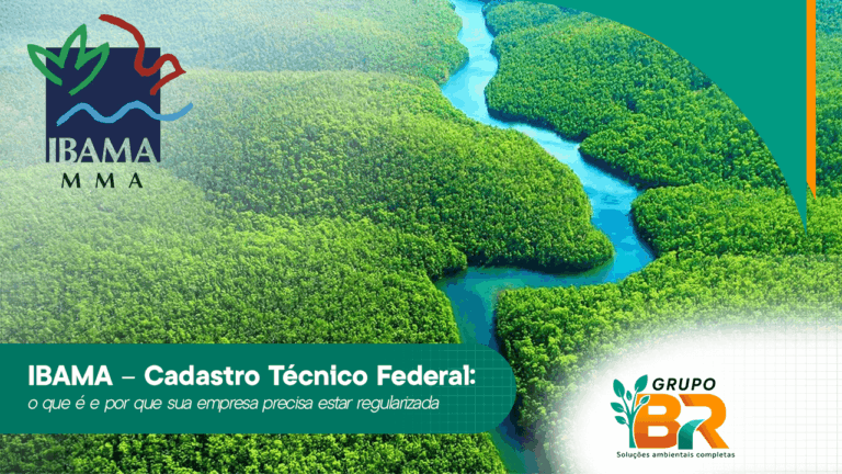 IBAMA – Cadastro Técnico Federal: o que é e por que sua empresa precisa estar regularizada