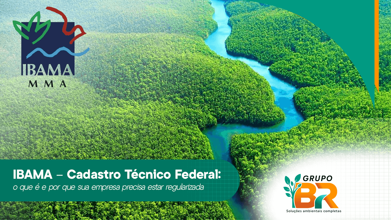IBAMA – Cadastro Técnico Federal: o que é e por que sua empresa precisa estar regularizada