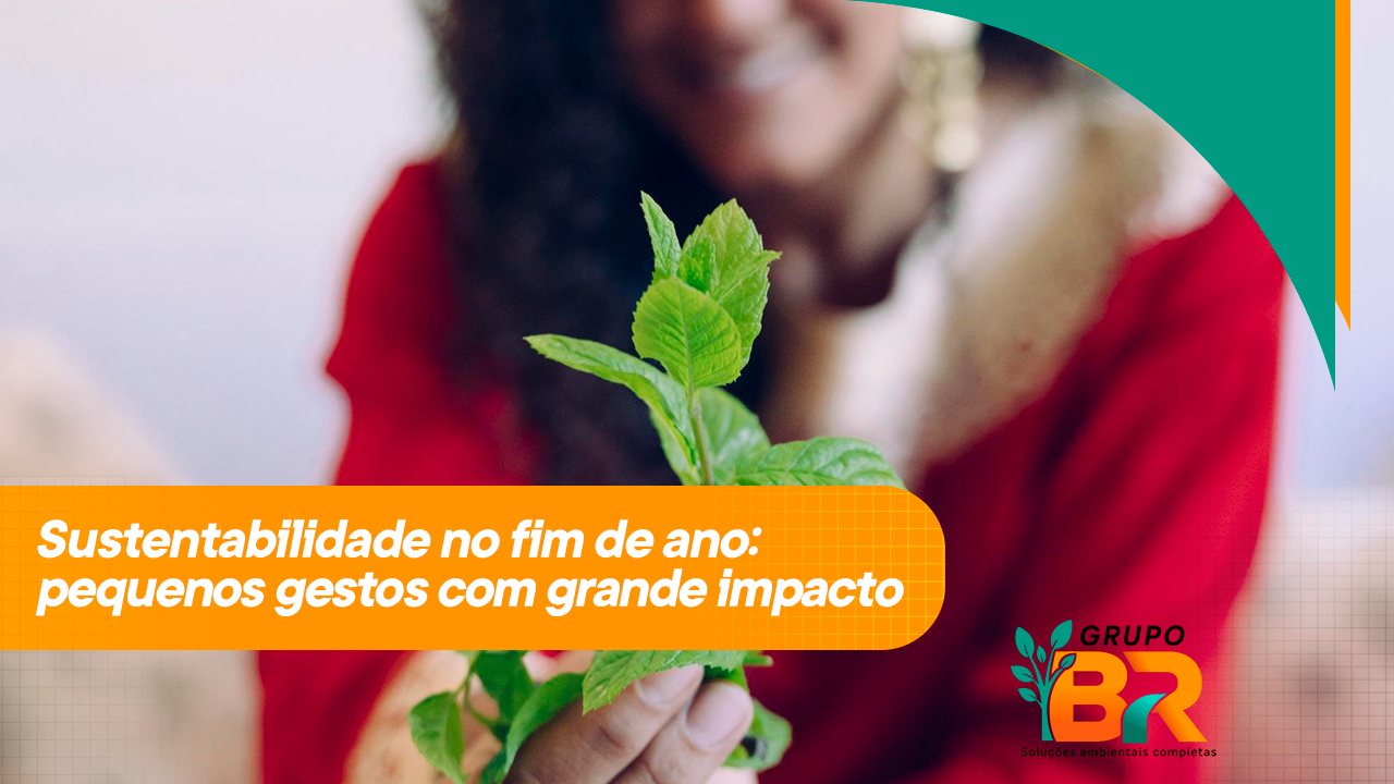 Sustentabilidade no fim de ano: pequenos gestos com grande impacto