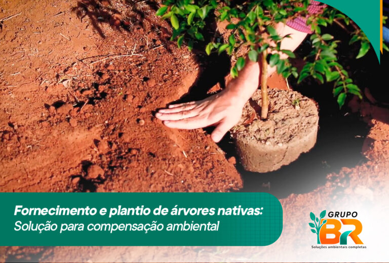 Fornecimento e plantio de árvores nativas: solução para compensação ambiental
